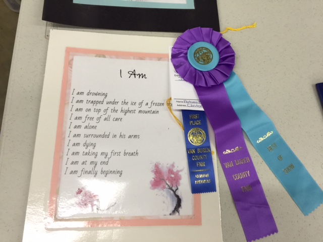 CHS Students Win in Art Division at VBC Fair