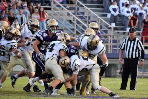 team z berryville