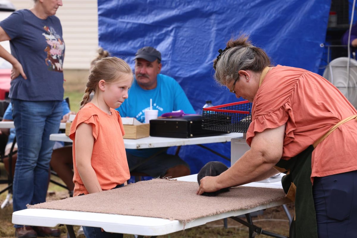 County Fair Rabbit Show