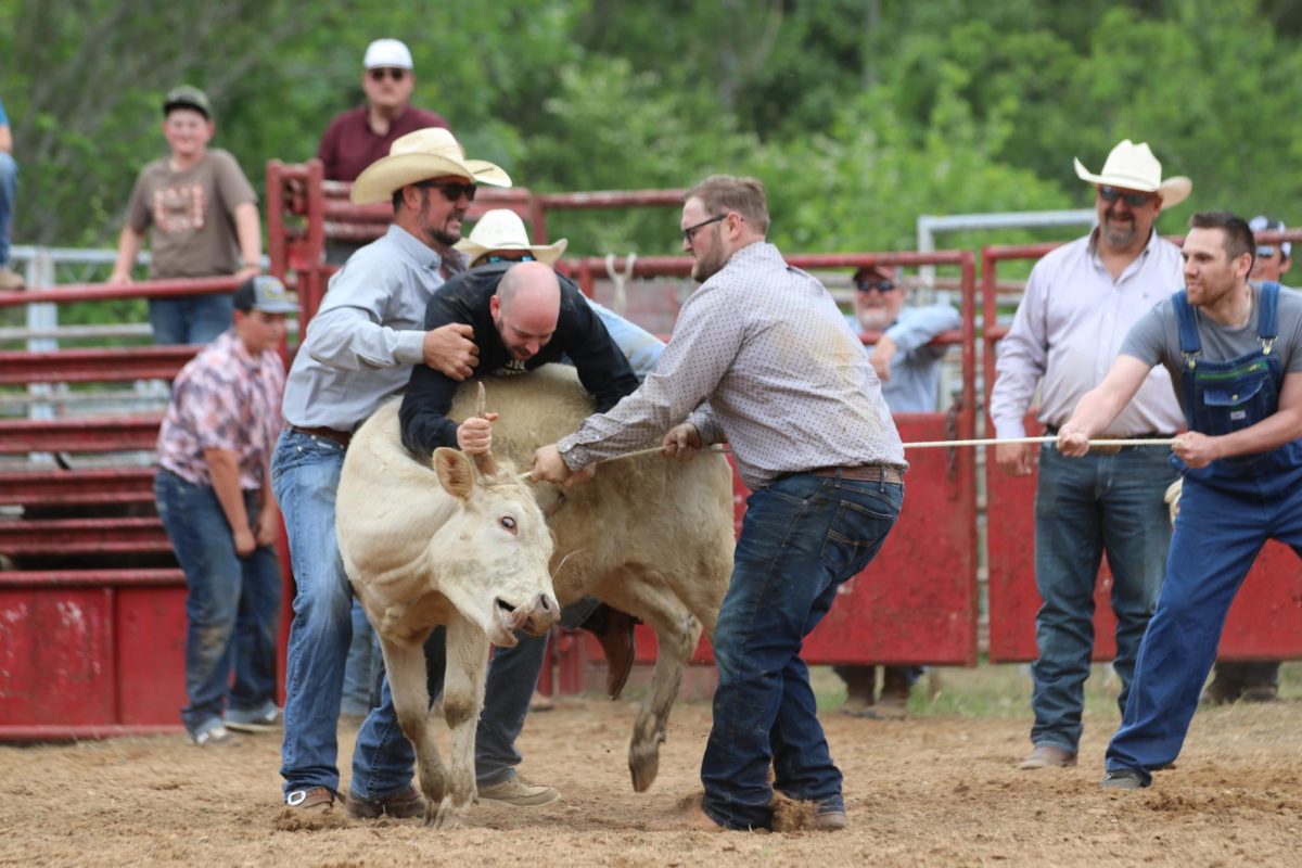 FFA Rodeo